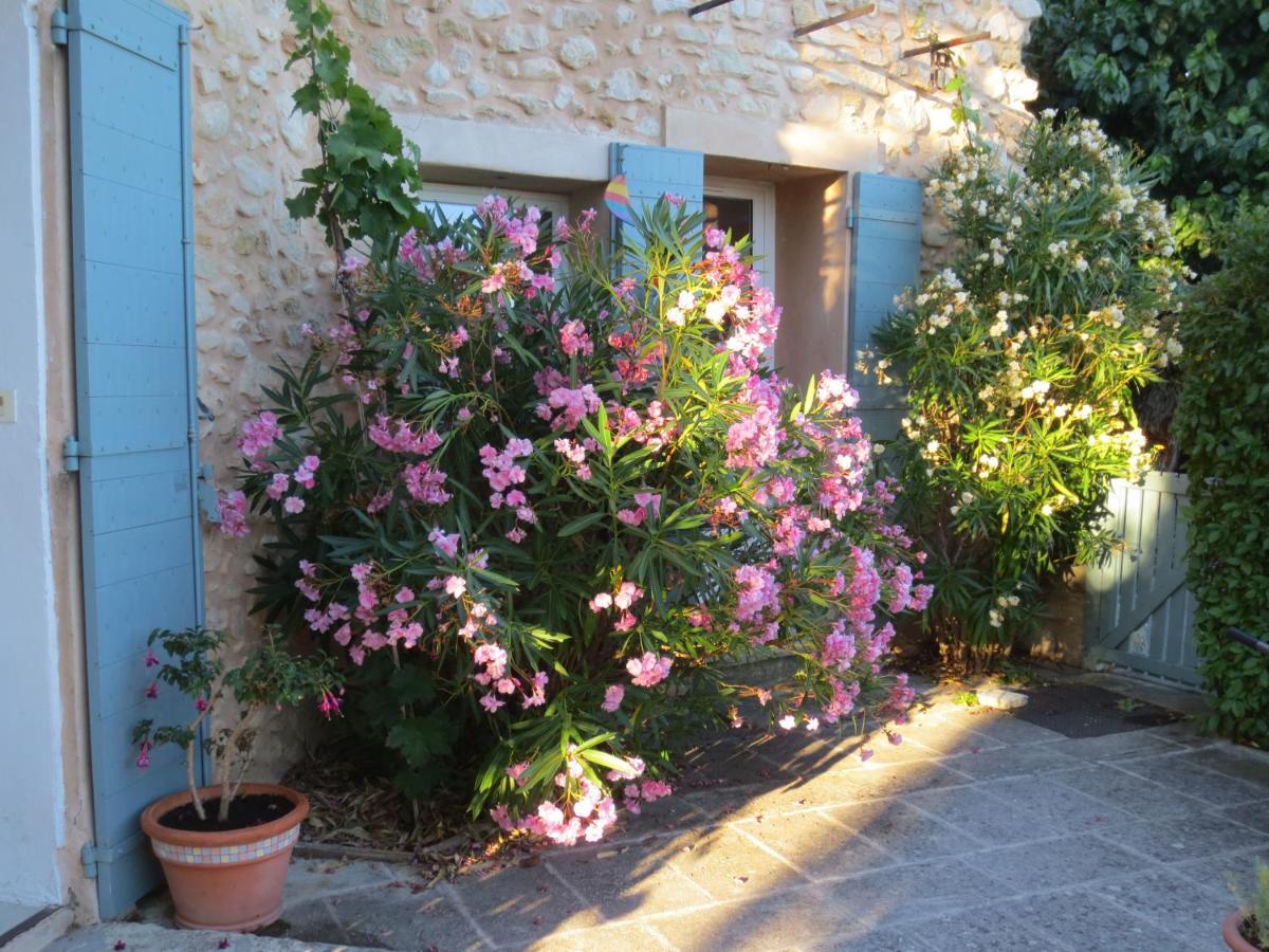 베두엥 Oustau Du Ventoux B&B 외부 사진